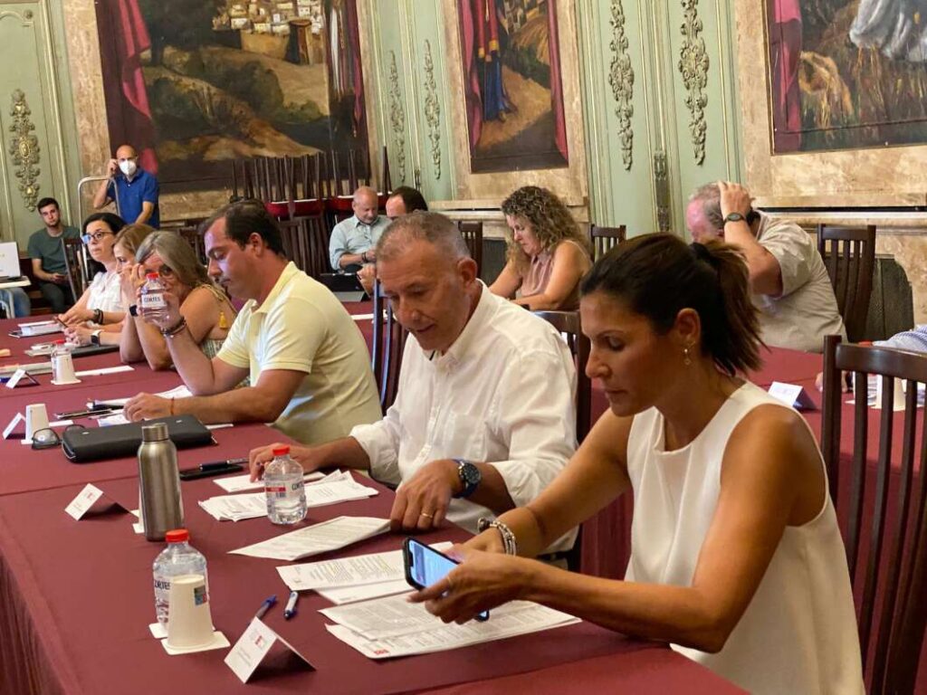 Pleno Diputación 190722