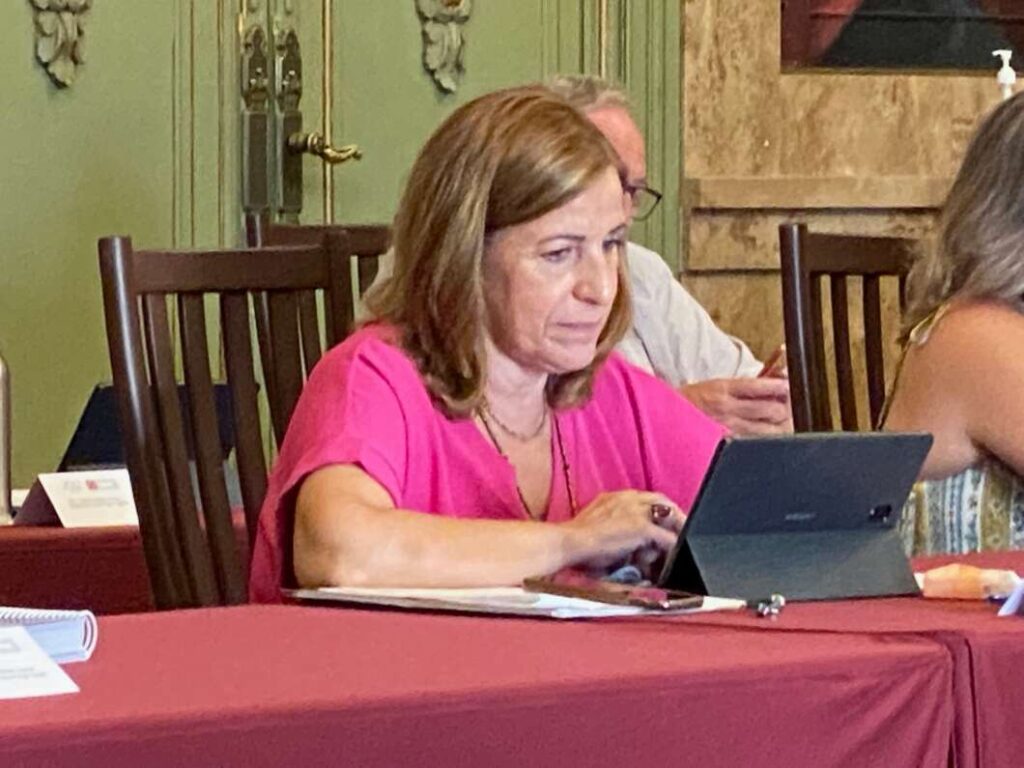 Pleno Diputación 190722