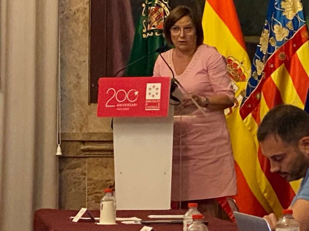 Pleno Diputación 190722