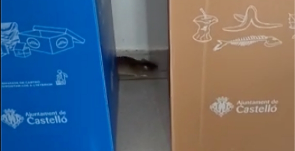 Policía Local Castellón