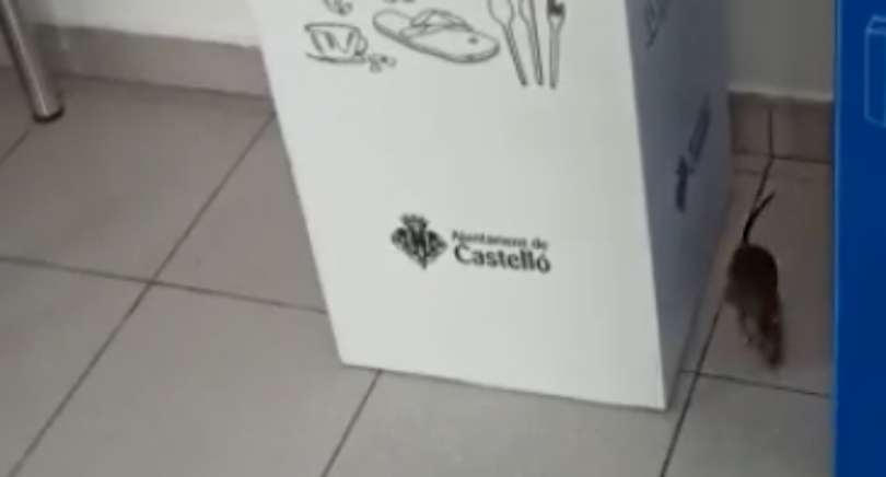 Policía local Castellón