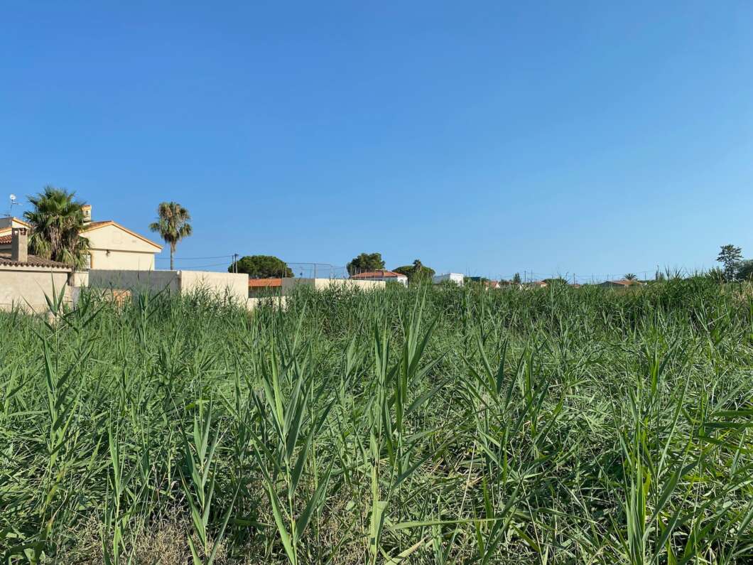 Marjalería Castelló Inundaciones