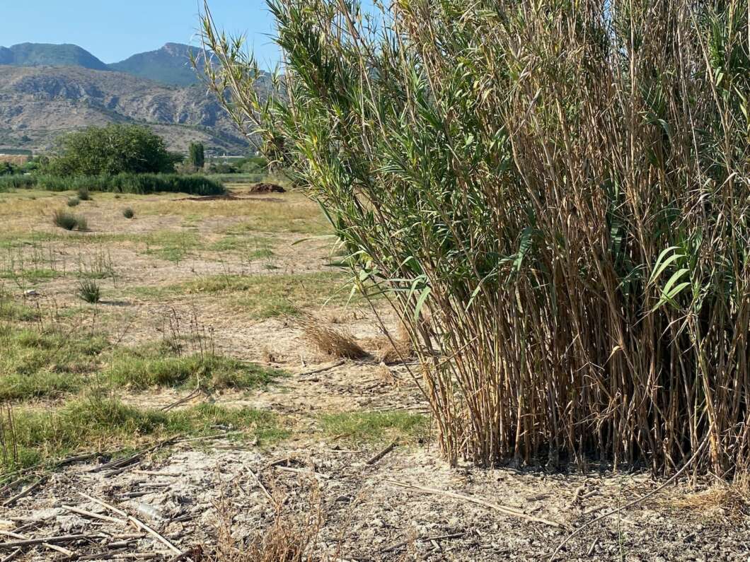 Marjalería Castelló Inundaciones
