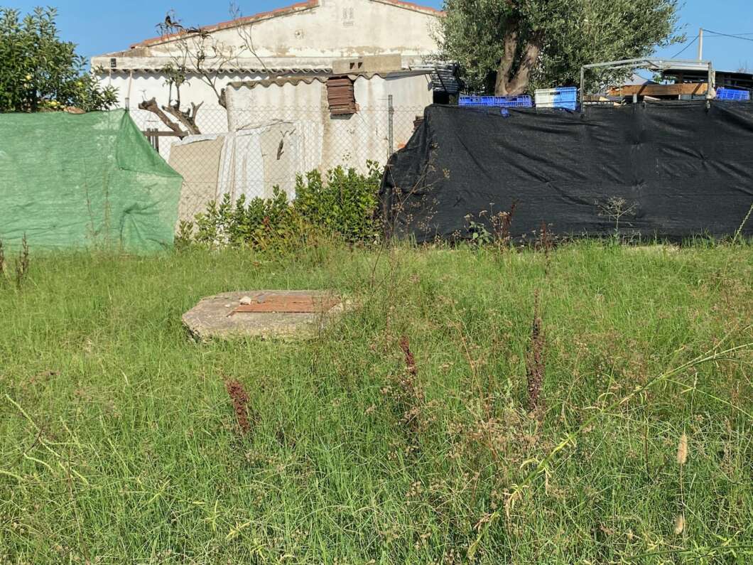 Marjalería Castelló Inundaciones