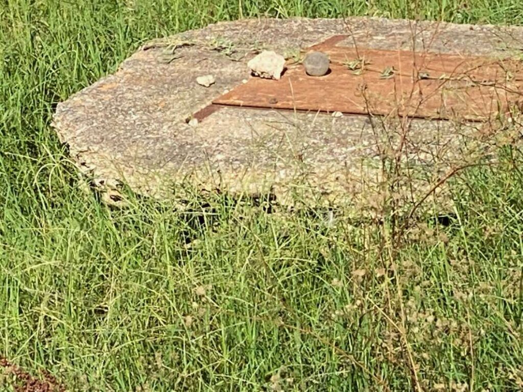 Marjalería Castelló Inundaciones