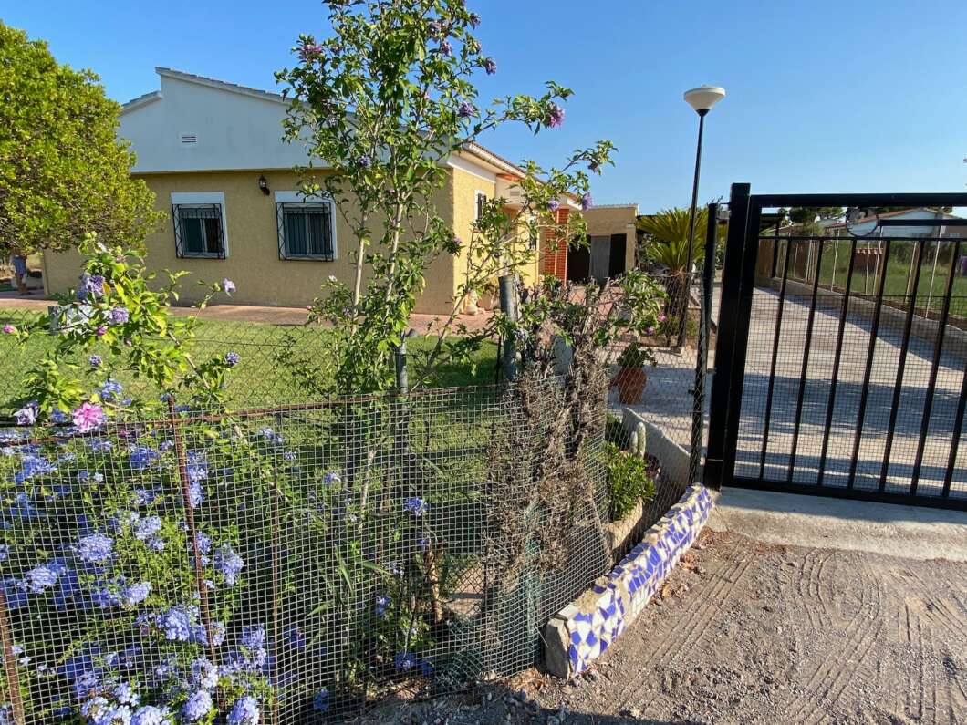Marjalería Castelló Inundaciones