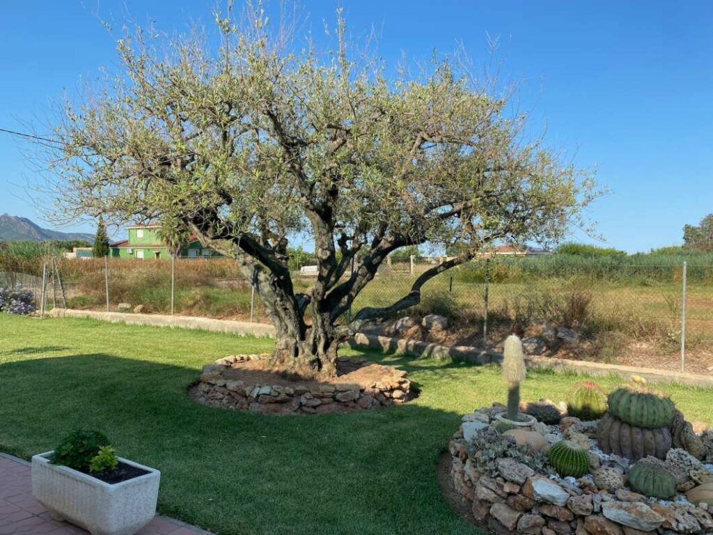 Marjalería Castelló Inundaciones