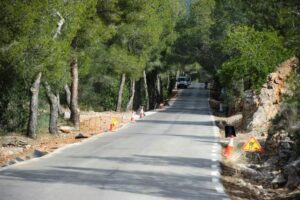 0358 2-02-15 DESERT PALMES