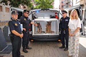 12-09-2017 Vehicle policial gossos2 vila-real