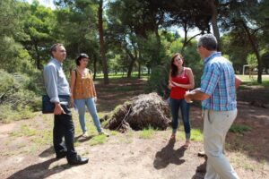 150803 visita al Pinar (18)