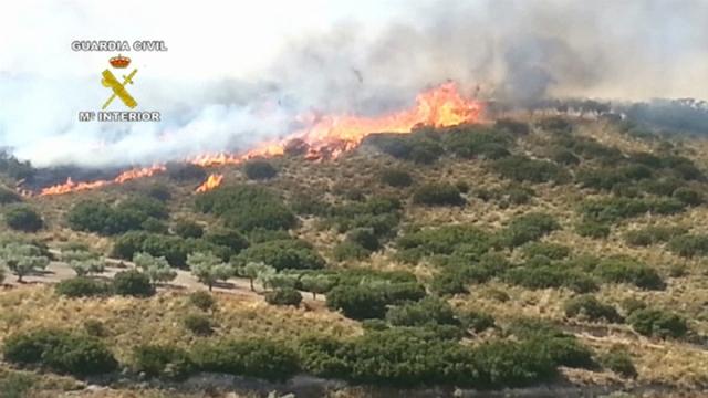 2019-07-03_balance-incendios-forestales_02