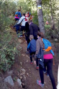 Excursión familiar al Salvador Día del Árbol Ayuntamiento Onda