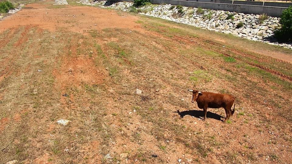 62047161_2290115927876262_2977594603185635328_n