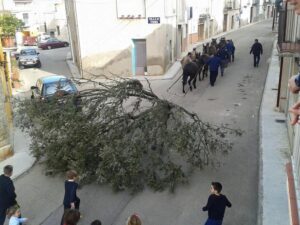 9Sant Antoni a Tírig