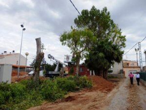 Camí Catalans de Almassora.