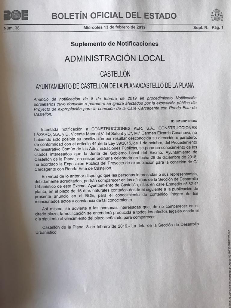 BOE Vicente Vidal 130219