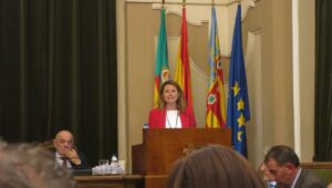 Begoña Carrasco Pleno Abril 2017