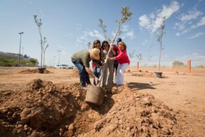 Bosc_Sostenibilitat_17DLL28