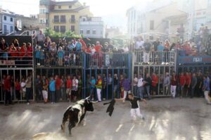 Bous en la Fira d'Onda