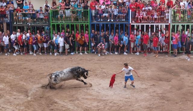 Bou per la Vila. Fiestas de San Bartolomé 2013. 22/08/2013. AYUNTAMIENTO DE NULES