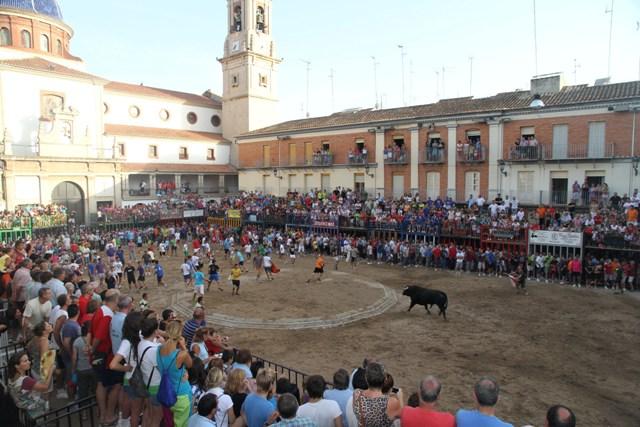 Segundo día de bous per la Vila de las fiestas de Sant Bartomeu. 20/08/2012. AYUNTAMIENTO DE NULES