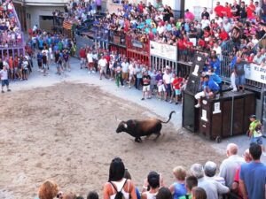 Bou per la vila en Nules.