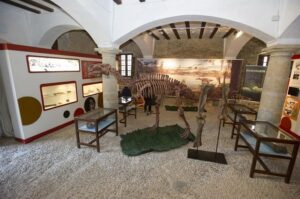 Casa de Sant Joans de Cinctorres