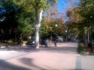 Castellón Parque Ribalta Coches