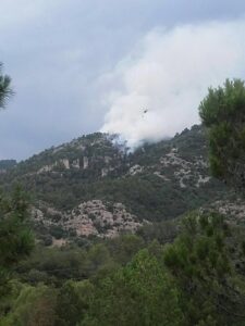 incendio la pobla de benifassa
