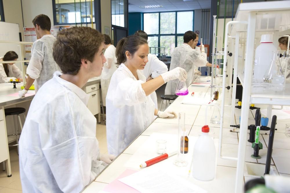 I Colonias Científicas UJI