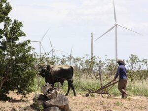 Complejo eólico de Iberdrola Los Calangos, en Brasil (I)