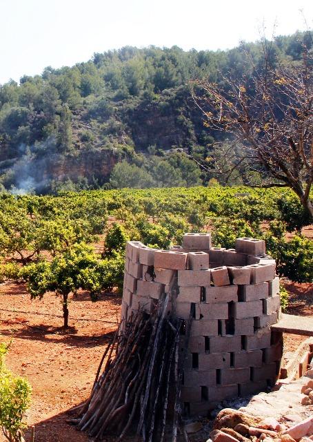 Plan local de quemas.