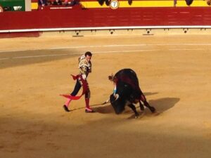 Corrida Feria Magdalena 28III14 (5)