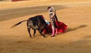 Corrida Feria Magdalena 28III14 (8) RA