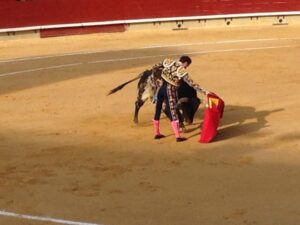 Corrida Feria Magdalena 28III14 (9)