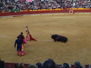 Vicente Soler Corrida Feria domingo 190317 (54)
