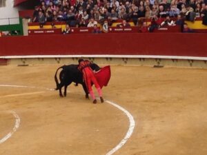 Corrida Magdalena 30III14 (156)