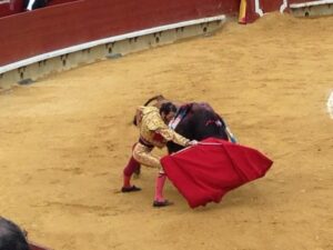 Corrida Magdalena 30III14 (165)