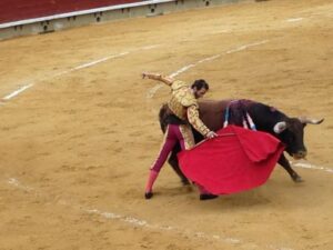 Corrida Magdalena 30III14 (171)