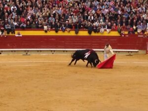 Corrida Magdalena 30III14 (27)