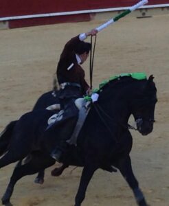 Feria de la Magdalena