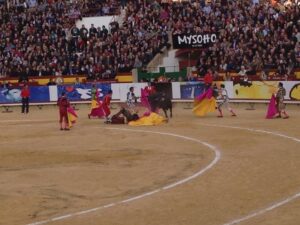 Corrida Ripollesca 14III15 (57)