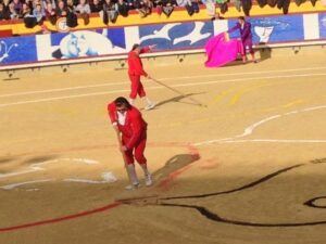 Corrida Ripollesca 14III15 (8)