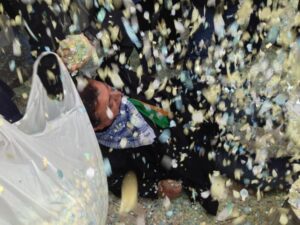 Coso Multicolor 27III14 (441)