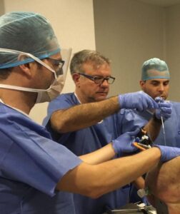 Curso_Artroscopia_Príncipe_Felipe_Valencia_Sanchez_ Alepuz