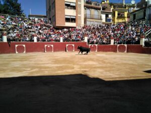 Benasal DESENCAIXONADA BOUS