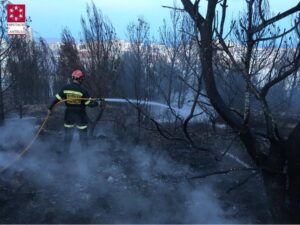 incendio cultivo Peñíscola