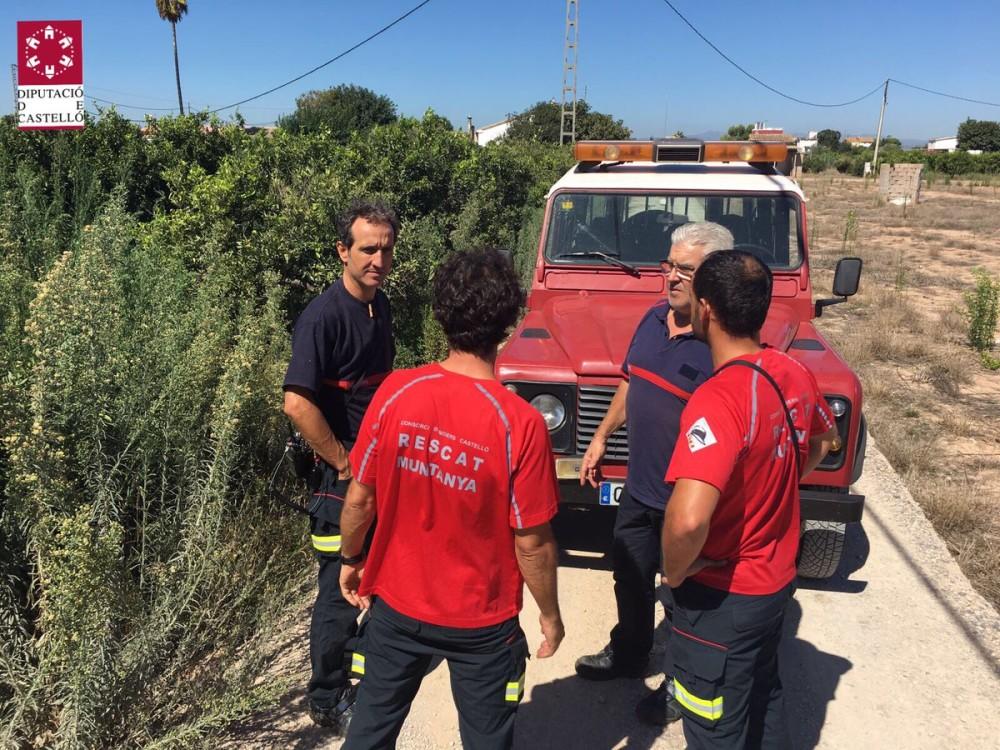 busquen la vaca de borriana