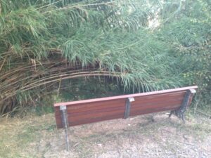 Estado precario Clot Mare de Déu (4)