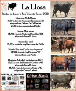 FESTES LA LLOSA, BOUS